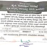 ಹಸಿಶುಂಠಿ ಖರೀದಿಗೆ ಆಯನೂರಿನಲ್ಲಿ ಸಂಸ್ಥೆ ನೇಮಕ